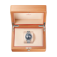 Omega 329.30.43.51.03.001 Speedmaster Chronoscope