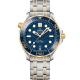 Omega Seamaster 210.20.42.20.03.001