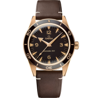 Omega Seamaster 234.92.41.21.10.001