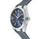 Omega Seamaster Aqua Terra  220.12.41.21.03.001
