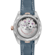 Omega Seamaster Aqua Terra 220.22.41.21.03.001