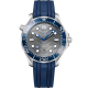 Omega Seamaster Diver 210.32.42.20.06.001