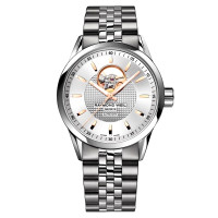 Наручные часы Raymond Weil Freelancer 2710-ST5-65021