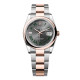 Rolex 126201 Datejust 36