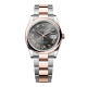 Rolex 126201 Datejust 36