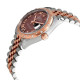 Rolex 278341CHRDJ Datejust 31