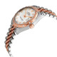 Rolex 278341MDJ Datejust 31