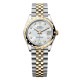 Rolex M278343RBR-0028 Datejust