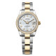 Rolex M278383RBR-0027 Datejust