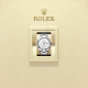 Rolex M336934-0003 Sky-Dweller