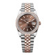 Rolex m126281rbr-0031 Datejust 36