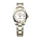 Rolex m278343rbr-0001 Datejust 31