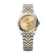 Rolex m278343rbr-0014 Datejust 31