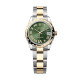 Rolex m278343rbr-0015 Datejust 31