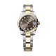 Rolex m278343rbr-0021 Datejust 31