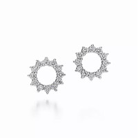 Серьги Tiffany & Co. 21249882 Open Circle Earrings