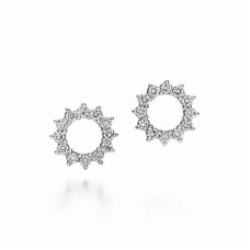 Серьги Tiffany & Co. 21249882 Open Circle Earrings