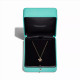 Колье Tiffany & Co. 23349833 Sixteen Stone by Tiffany