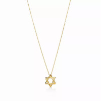 Колье Tiffany & Co. 25390881 Elsa Peretti®