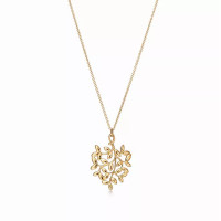 Колье Tiffany & Co. 30144384 Paloma Picasso®