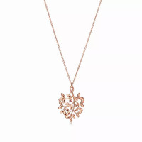 Колье Tiffany & Co. 32078605 Paloma Picasso®