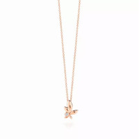 Колье Tiffany & Co. 33419716 Paloma Picasso®
