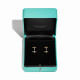 Серьги Tiffany & Co. 33429983 Tiffany T