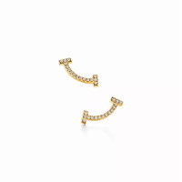 Серьги Tiffany & Co. 36667176 75962290 Tiffany T