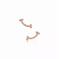 Серьги Tiffany & Co. 36667184 75962312 Tiffany T
