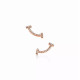 Серьги Tiffany & Co. 36667184 75962312 Tiffany T
