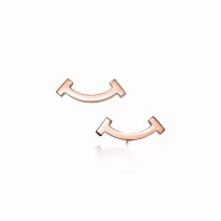 Серьги Tiffany & Co. 36667249 63057746 Tiffany T