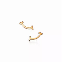 Серьги Tiffany & Co. 36667273 63055352 Tiffany T