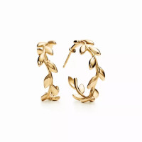 Серьги Tiffany & Co. 60572003 Paloma Picasso®