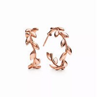 Серьги Tiffany & Co. 60572038 Paloma Picasso®