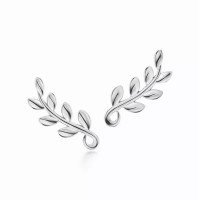 Серьги Tiffany & Co. 60702527 Paloma Picasso®