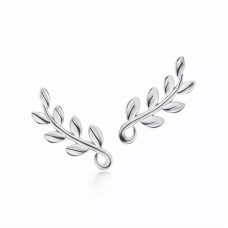 Серьги Tiffany & Co. 60702527 Paloma Picasso®