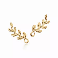 Серьги Tiffany & Co. 60702551 Paloma Picasso®