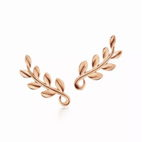 Серьги Tiffany & Co. 60702586 Paloma Picasso®