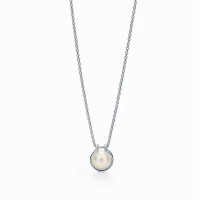 Колье Tiffany & Co. 64048325 Tiffany HardWear