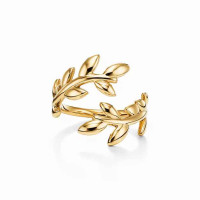 Кольцо Tiffany & Co. 67544420 Paloma Picasso®