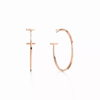Серьги Tiffany & Co. 67789997 Tiffany T