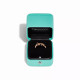 Кольцо Tiffany & Co. 68177863 Paloma's Graffiti