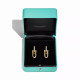 Серьги Tiffany & Co. 68533651 74335144 Tiffany HardWear