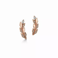 Серьги Tiffany & Co. 69523595 69525040 Tiffany Victoria®