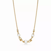 Колье Tiffany & Co. 70606119 70687895 Tiffany HardWear