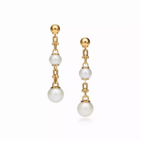 Серьги Tiffany & Co. 70607115 Tiffany HardWear