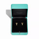 Серьги Tiffany & Co. 70811227 70880210 Tiffany T