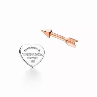 Серьги Tiffany & Co. 70878569 Return to Tiffany®