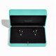 Серьги Tiffany & Co. 73467969 Tiffany Titan by Pharrell Williams