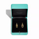 Серьги Tiffany & Co. 73584558 75533837 Tiffany HardWear